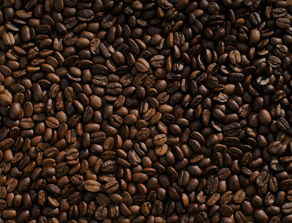 Biji kopi pilihan